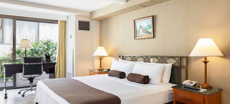 圣何塞海瑞德拉温德姆酒店(Wyndham San Jose Herradura Hotel & Convention Center)图片