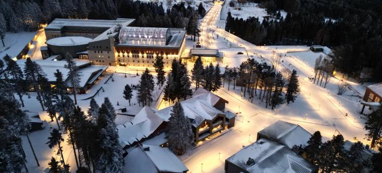 布尔萨乌鲁达瑞士酒店(Swissotel Uludag Bursa)图片