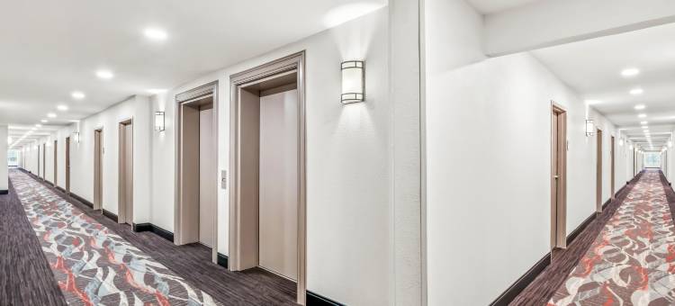 南菲尔德红屋顶酒店(Red Roof Inn Southfield)图片