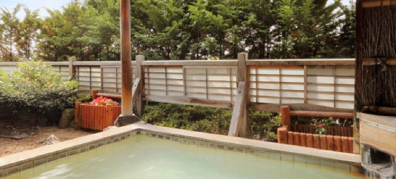 卡佳米盖克赫基赞提酒店(Kagamigaike Hekizantei)图片