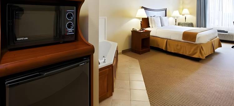 智选假日套房酒店曼斯费尔德(Holiday Inn Express & Suites Mansfield)图片