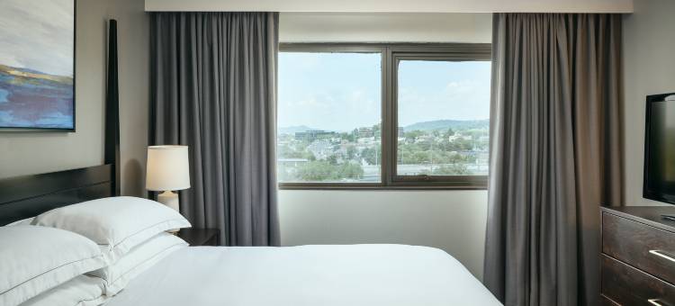 布伦特伍德纳许维尔套房希尔顿酒店(Hilton Brentwood/Nashville Suites)图片