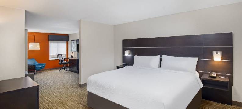 洛克斯特格罗夫洲际智选假日套房酒店(Holiday Inn Express & Suites LOCUST GROVE by IHG)图片