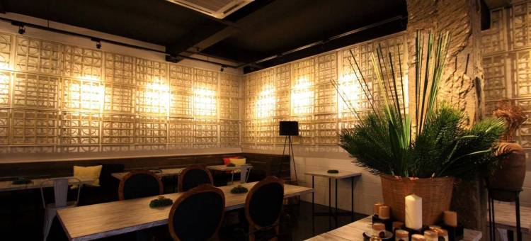 三叶草旅馆(Shamrock Guest House)图片