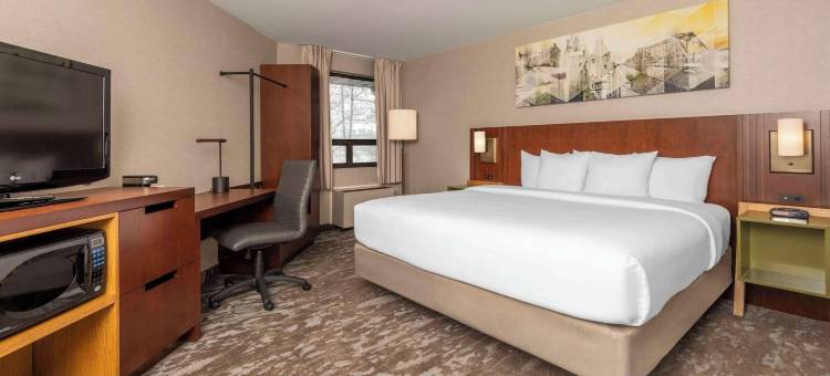 哈密尔顿/斯托尼克雷克舒适酒店(Comfort Inn)图片