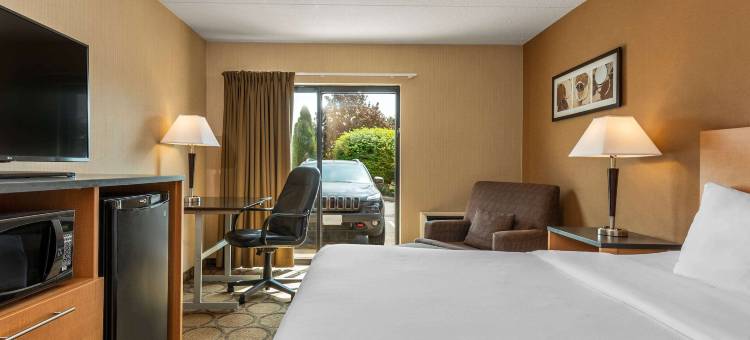 舒适酒店(Comfort Inn Val d'Or)图片