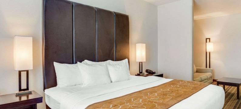 曼德维尔卡温顿舒适套房酒店(Comfort Suites Mandeville - Covington)图片