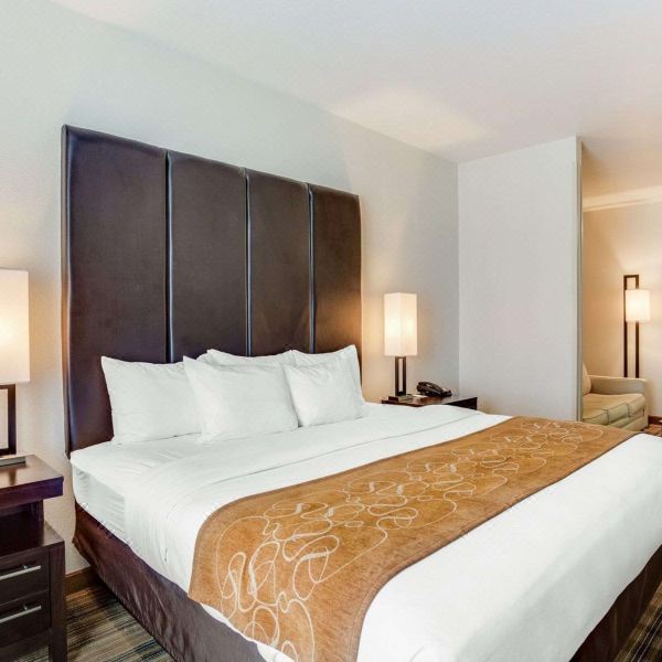 曼德维尔卡温顿舒适套房酒店(Comfort Suites Mandeville - Covington)图片