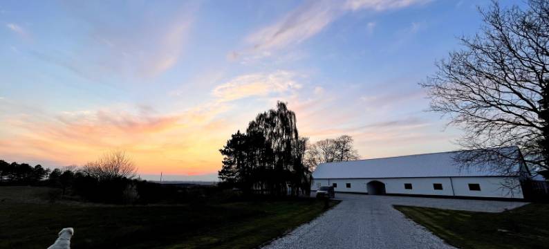 Essenbaekgaard B&B图片