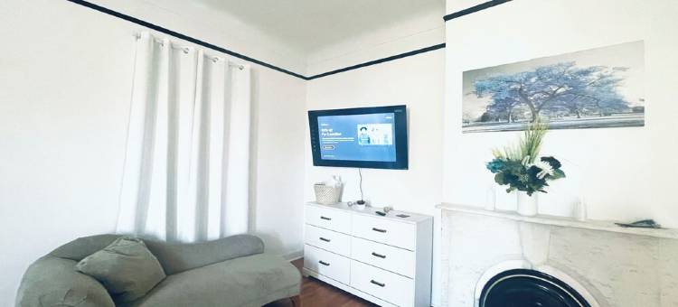 Gingers Tuscan Sunflower图片