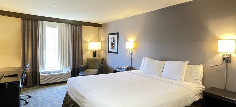 圣卡洛斯乡村旅馆&套房(Country Inn & Suites by Radisson, San Carlos, CA)图片