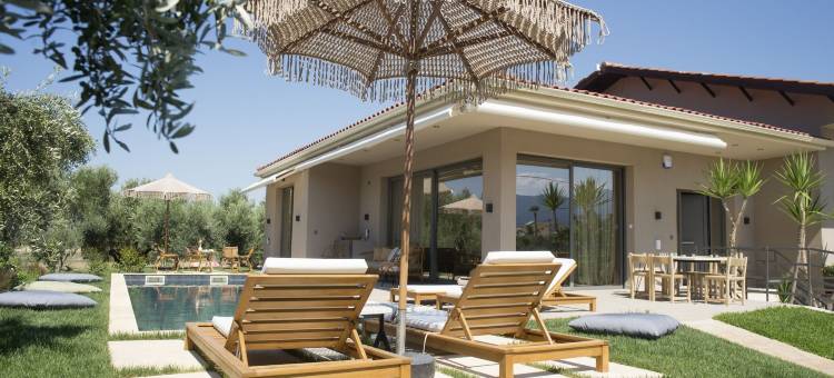 埃拉亚橄榄树丛(Elaia Grove)图片