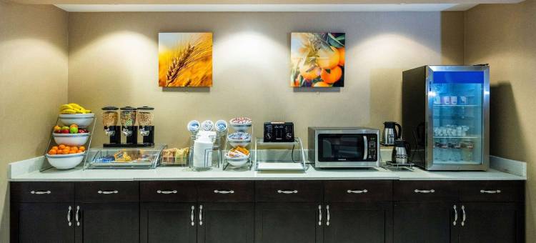 舒适套房酒店-休斯顿西克莱路(Comfort Suites Houston West at Clay Road)图片