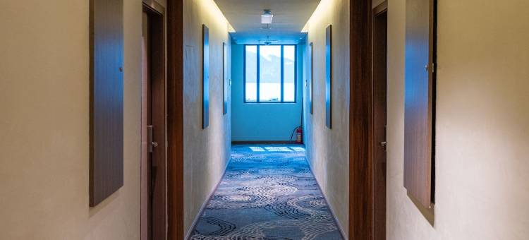 Gayo Petro Hotel图片