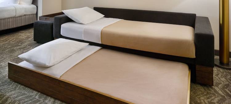 SpringHill Suites Raleigh-Durham Airport/Research Triangle Park图片