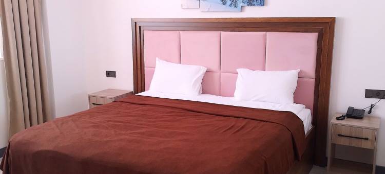 Chalet Khione (Metinoğlu 膳宿公寓) 萨里卡米什(Metinoglu Pansiyon (Chalet Khione) Sarıkamıs)图片