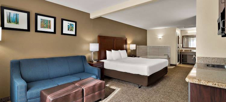 红杉国王峡谷舒适套房酒店(Comfort Inn & Suites Sequoia Kings Canyon)图片
