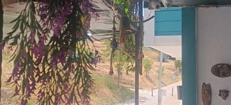 阿达马林露台酒店(Adamarin Terrace Otel)图片