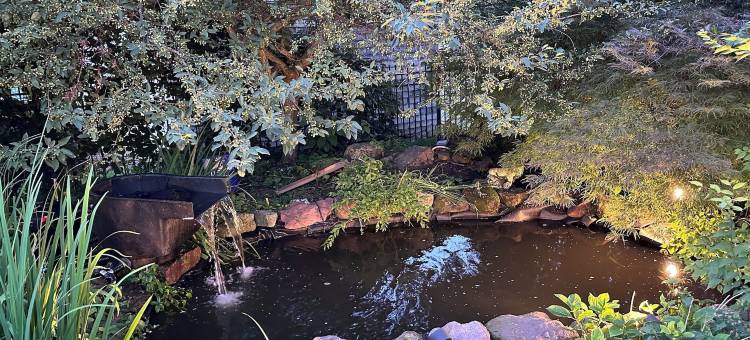 VAAST床和早餐旅馆(Vaast Bed & Breakfast)图片