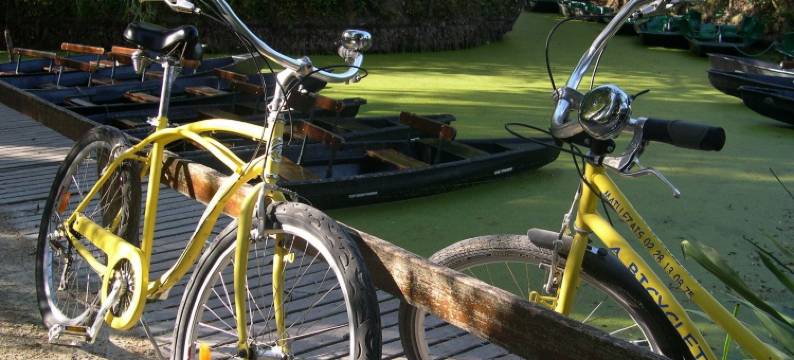 高维涅尔民宿(La Gauviniere)图片