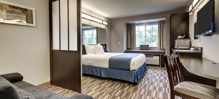 塔斯卡卢萨近大学麦客达套房酒店(Microtel Inn & Suites by Wyndham Tuscaloosa Near University)图片