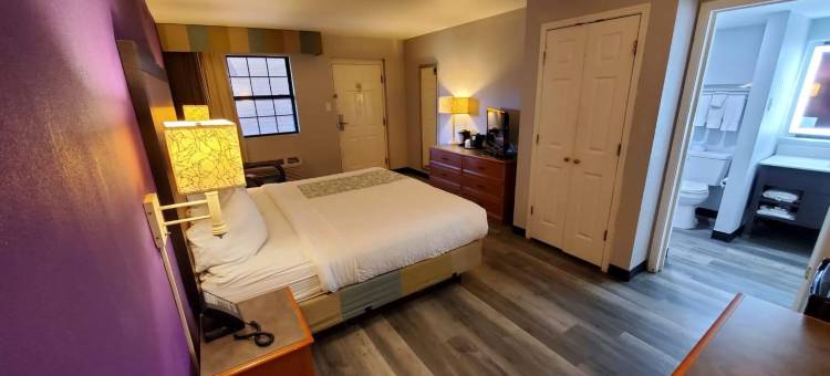 阿马里洛西医疗中心拉昆塔温德姆酒店(La Quinta Inn by Wyndham Amarillo West Medical Center)图片