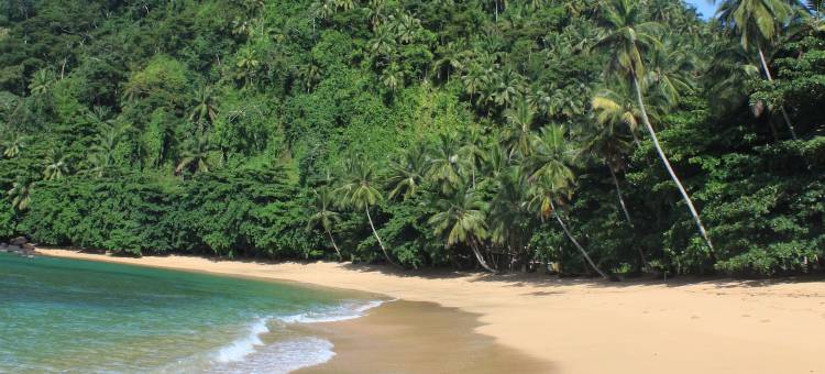 普拉亚因汉姆生态小屋旅馆(Praia Inhame Eco-Lodge)图片