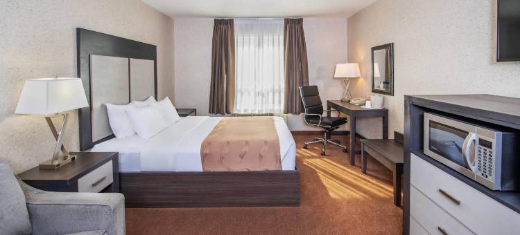 品质酒店套房(Quality Inn & Suites)图片