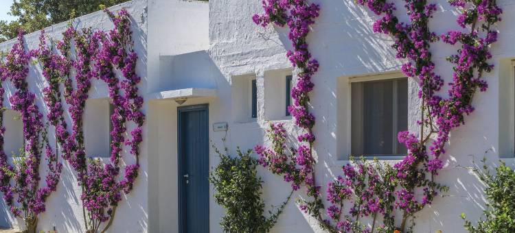 TH 奥斯图尼 - 奥斯图尼滨海村酒店(TH Ostuni - Ostuni Marina Village)图片
