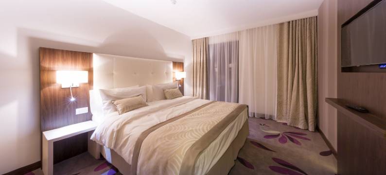 特兰西瓦尼亚酒店(Hotel Transilvania)图片