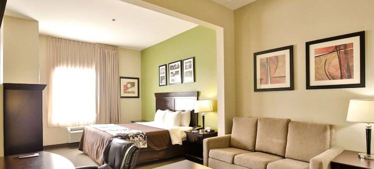 大学舒眠酒店及套房(Sleep Inn & Suites University)图片