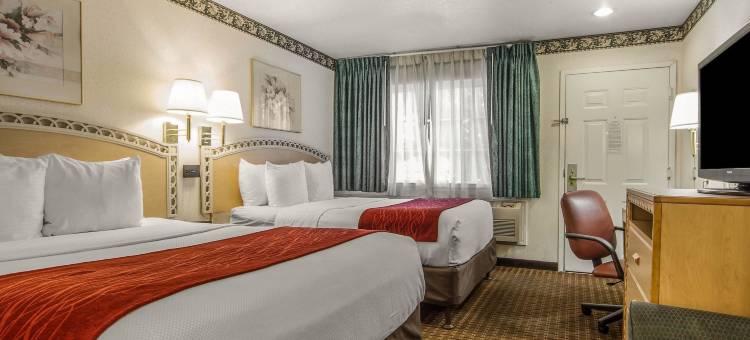 舒适酒店-帕洛阿尔托(Comfort Inn Palo Alto)图片