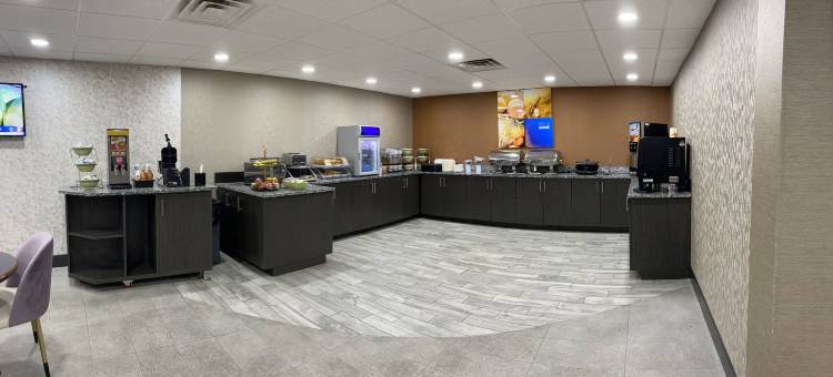 纳什维尔市中心 - 体育馆舒适套房酒店(Comfort Inn & Suites Nashville Downtown - Stadium)图片