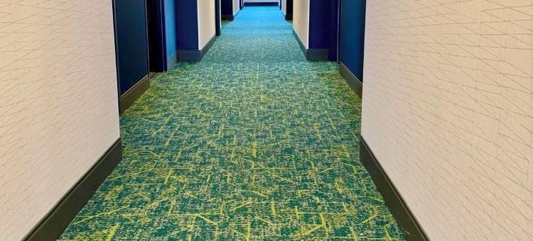 波士顿沃本希尔顿Spark酒店(Spark by Hilton Woburn Boston)图片