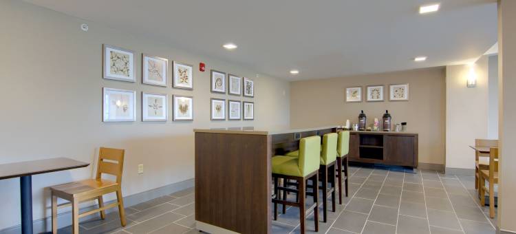 利物浦舒适酒店及套房-锡拉丘兹北(Comfort Inn & Suites Liverpool - Syracuse North)图片