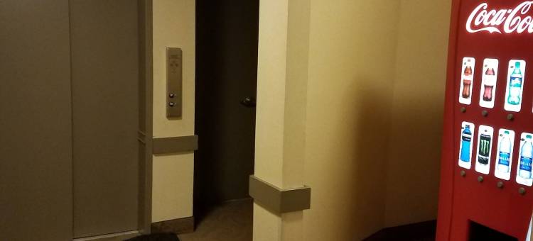 湾畔Travelodge by Wyndham(Travelodge by Wyndham San Francisco Bay)图片