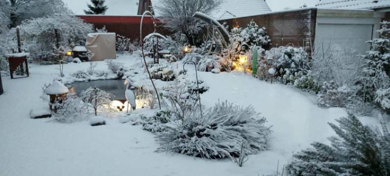 艾乌尔内斯特旅馆(Eulennest)图片