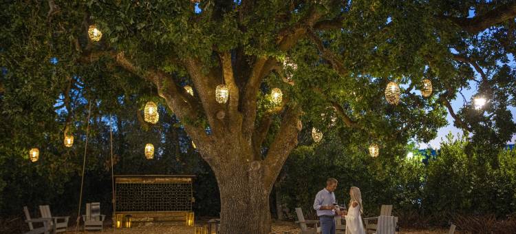 索诺马度假村-傲途格精选酒店(The Lodge at Sonoma Resort, Autograph Collection)图片