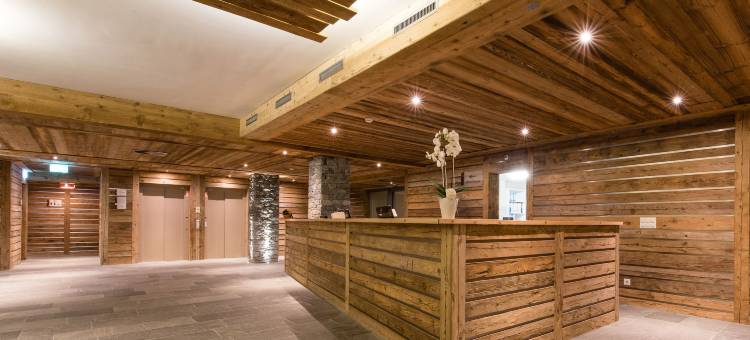 南达瓦莱4号饭店及水疗中心(Hôtel Nendaz 4 Vallées & Spa)图片