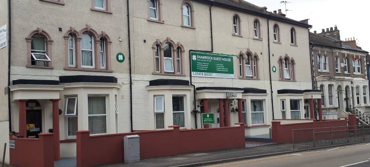 萨姆洛克盖斯特酒店(Shamrock Guest House)图片