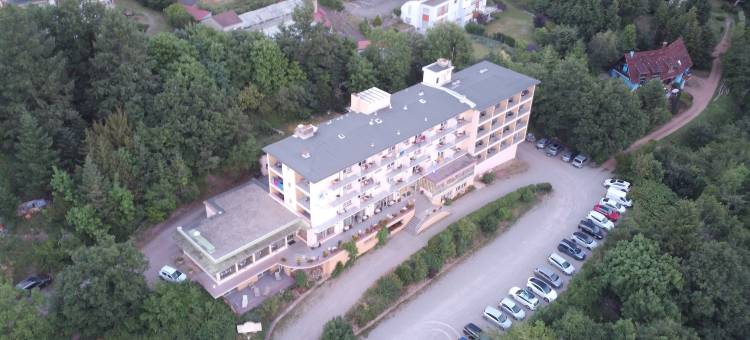 阿勒克桑餐厅及康体中心酒店(Alexain Hotel Restaurant & Wellness - Colmar Ouest)图片