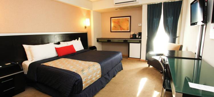 科隆广场商务酒店(Hotel Colón Plaza Business Class)图片