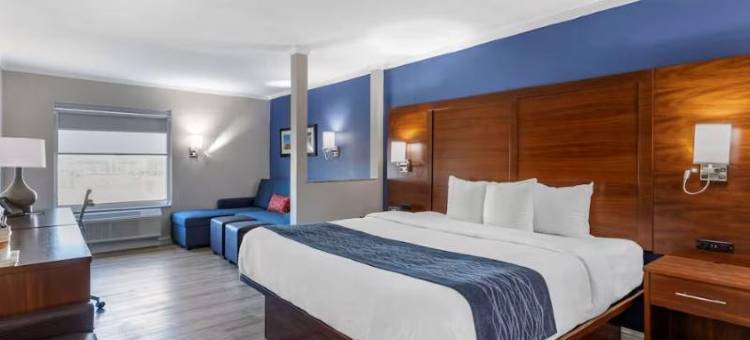 圣路易斯舒适套房酒店-日落山(Comfort Suites St. Louis - Sunset Hills)图片