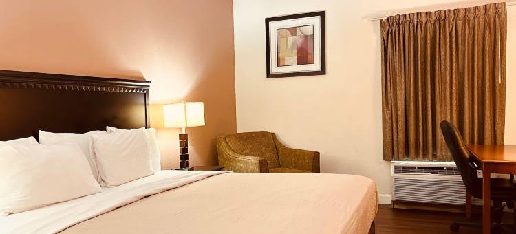 最佳客栈和套房(The Best Inn & Suites)图片