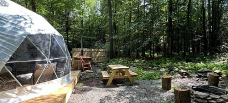 Ferncrest露营地(Ferncrest Campground)图片