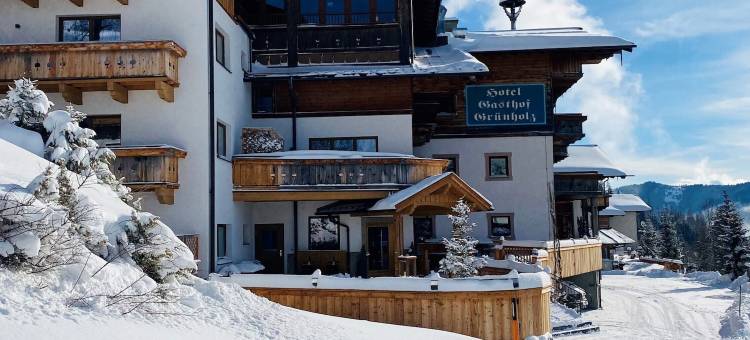 达斯古鲁恩霍兹公寓酒店(Das Grünholz Aparthotel)图片