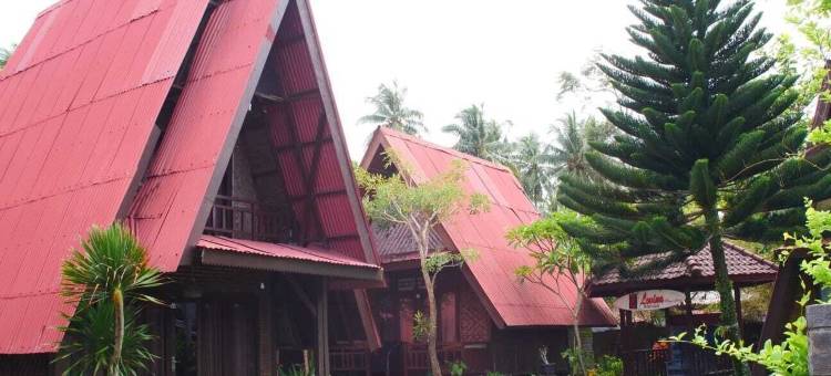 洛维娜克鲁伊冲浪酒店(Lovina Krui Surf)图片