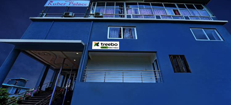 Treebo库伯宫带游泳池(Treebo Kuber Palace)图片