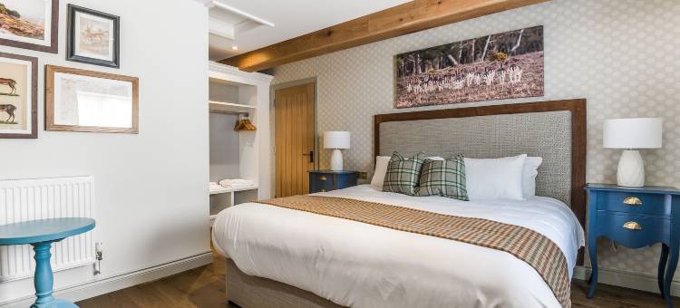 瓦尔汉普顿阿尔姆斯酒店(The Walhampton Arms)图片