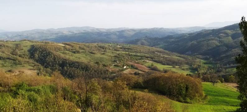 罗坎达德尔博尔戈酒店(La Locanda del Borgo)图片